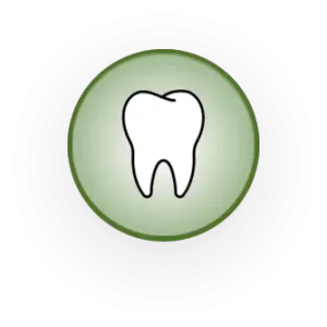 Icon Zahn grün