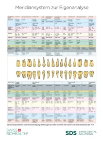 Meridiansystem-zur-Eigenanalyse-SDS