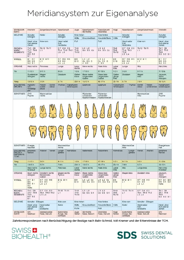 Meridiansystem-zur-Eigenanalyse-SDS